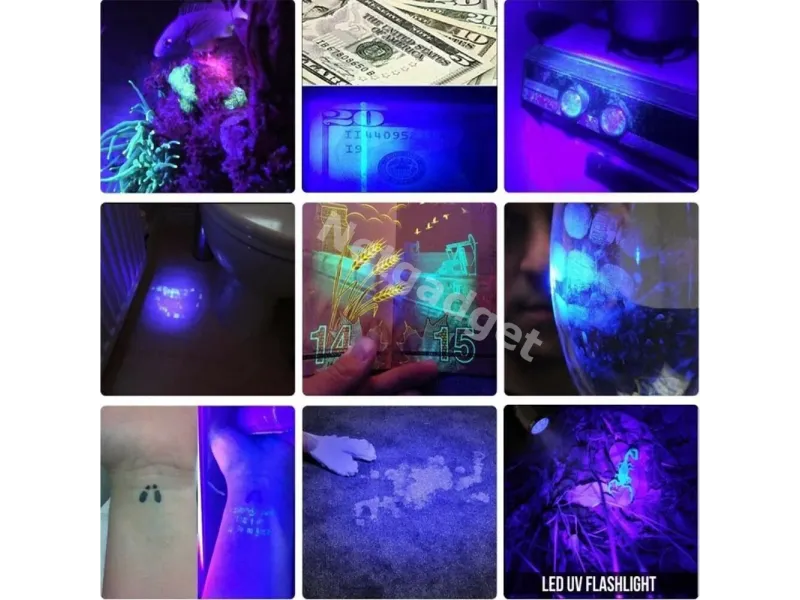 Lampe de poche UV ultraviolet à LED