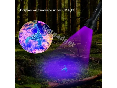 Lampe de poche UV ultraviolet à LED