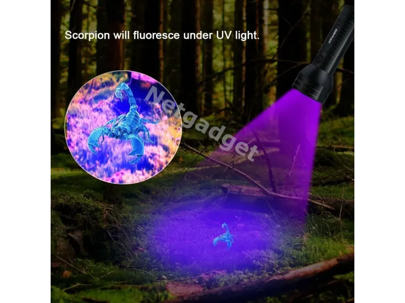 Lampe de poche UV ultraviolet à LED