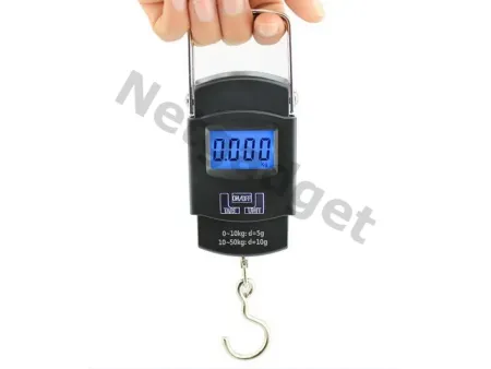 Balance digitale de poche et voyage - Netgadget