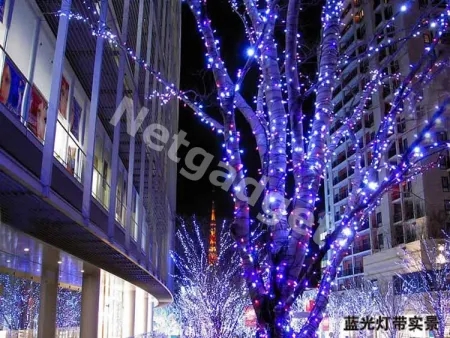Guirlande lumineuse multi-couleurs