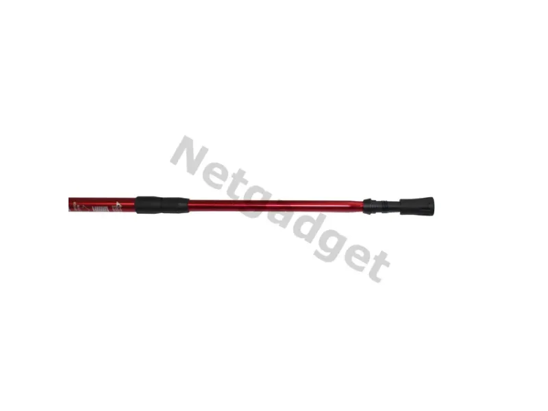Set de 2 bâtons de marche nordique - Netgadget
