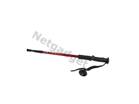 Set de 2 bâtons de marche nordique - Netgadget