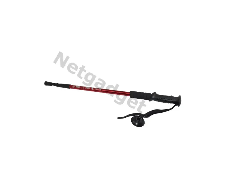 Set de 2 bâtons de marche nordique - Netgadget